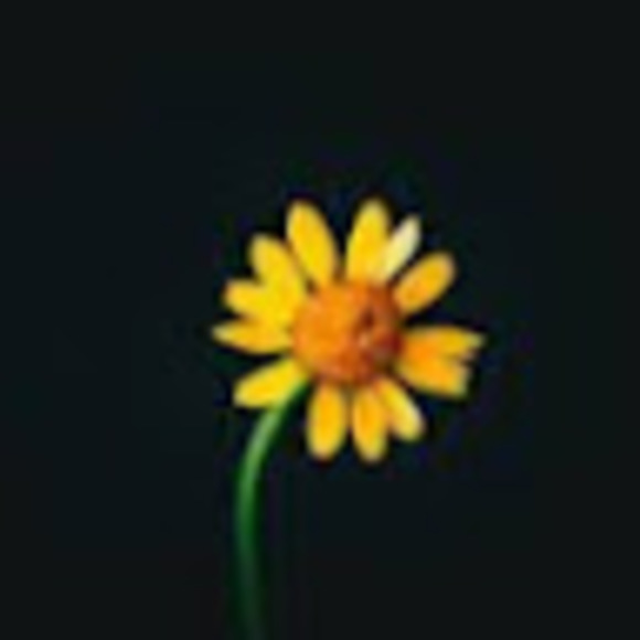 Meet your Posher, Sunila - Picture 1 of 1